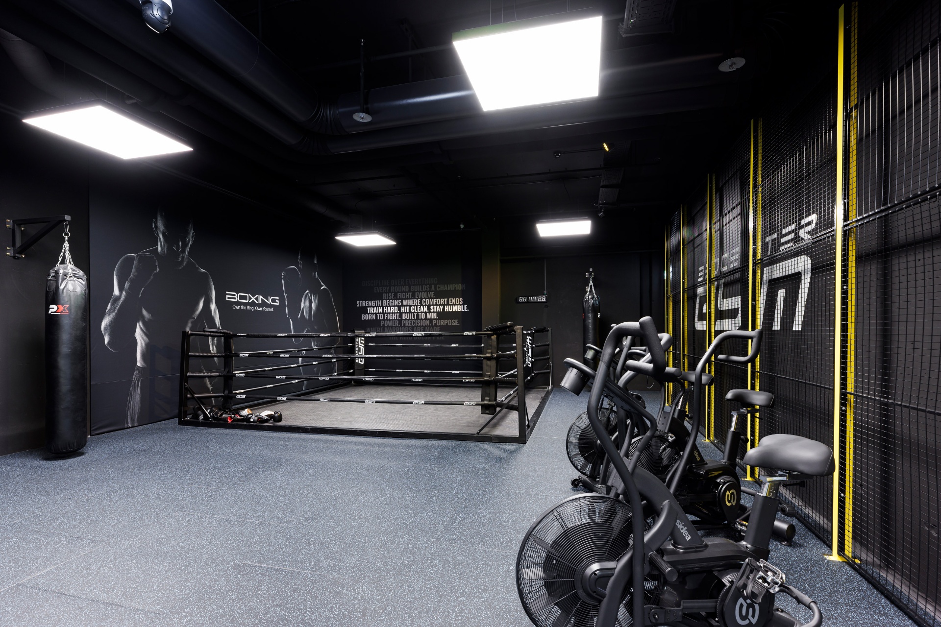 Boxing Area & – Bild 3