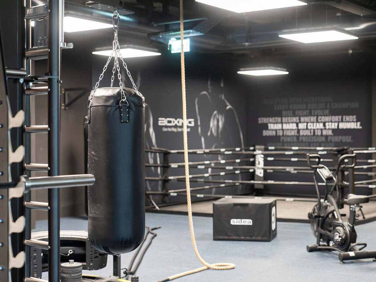 Boxing Area & Boxring